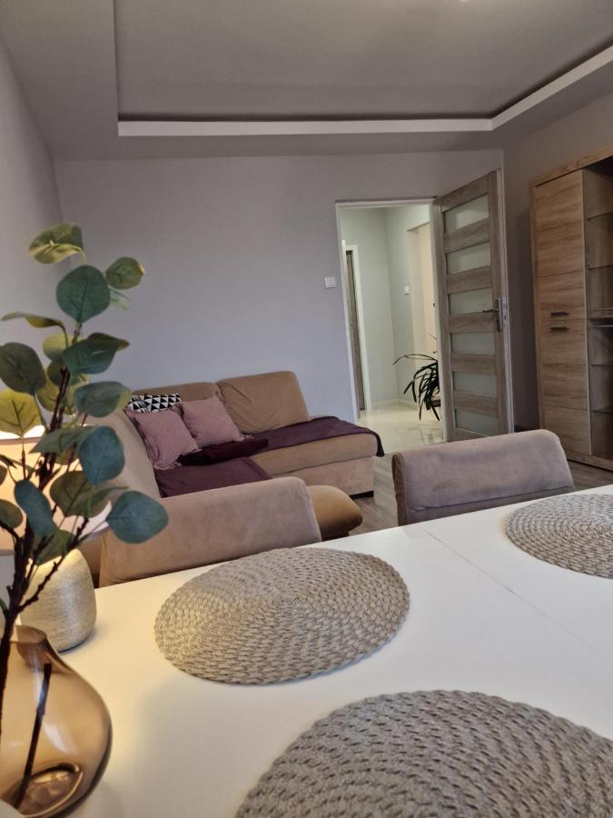Apartament - 2 Pokoje W Lodzi - Blisko Atlas Arena, Zoo, Centrum, Piotrkowska Eksteriør billede